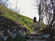 MONTE ZUCCO (1232 m) ad anello da S. Antonio Abb. (987 m) per la prima volta via Sonzogno (1108 m) - 31mar21 - FOTOGALLERY